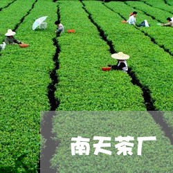 南天茶厂 曼松贡茶/2023031896959